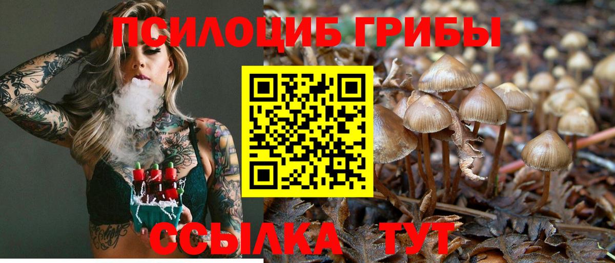 Мурманск  Псилоцибиновые грибы Magic Shrooms  магазин продажи   Вход с VPN  Галлюциногенные грибы MAGIC MUSHROOMS 