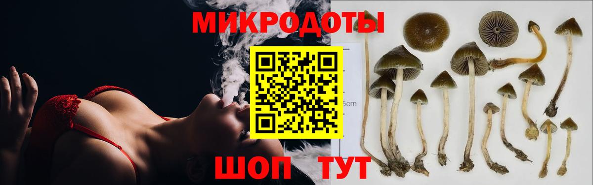 Галлюциногенные грибы прущие грибы Мурманск